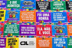 foto-orlando-naninho-opl-bienal