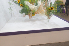 IMG_20260710_183145121