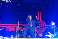 IMG_20260207_200708465-1