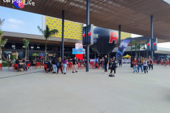 IMG_20250501_154257598_AE