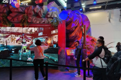 IMG_20240629_150247221_HDR