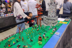 IMG_20250808_152540873_AE