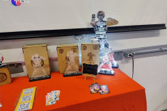 IMG_20250808_154317198_AE